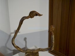 Exposición el tiempo de la Crisálida